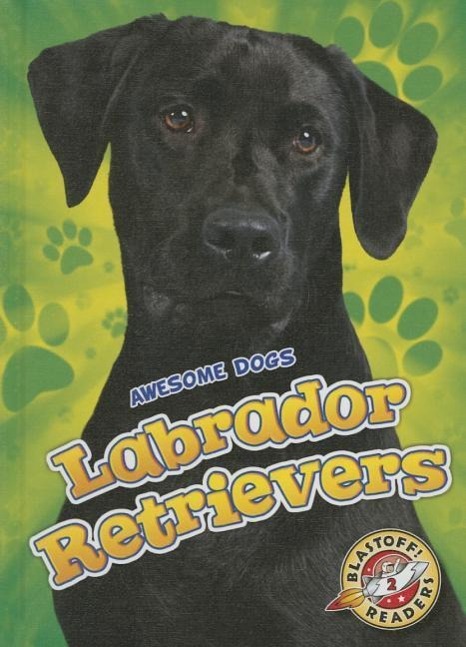Vorderes Coverbild Labrador Retrievers Labrador Retrievers