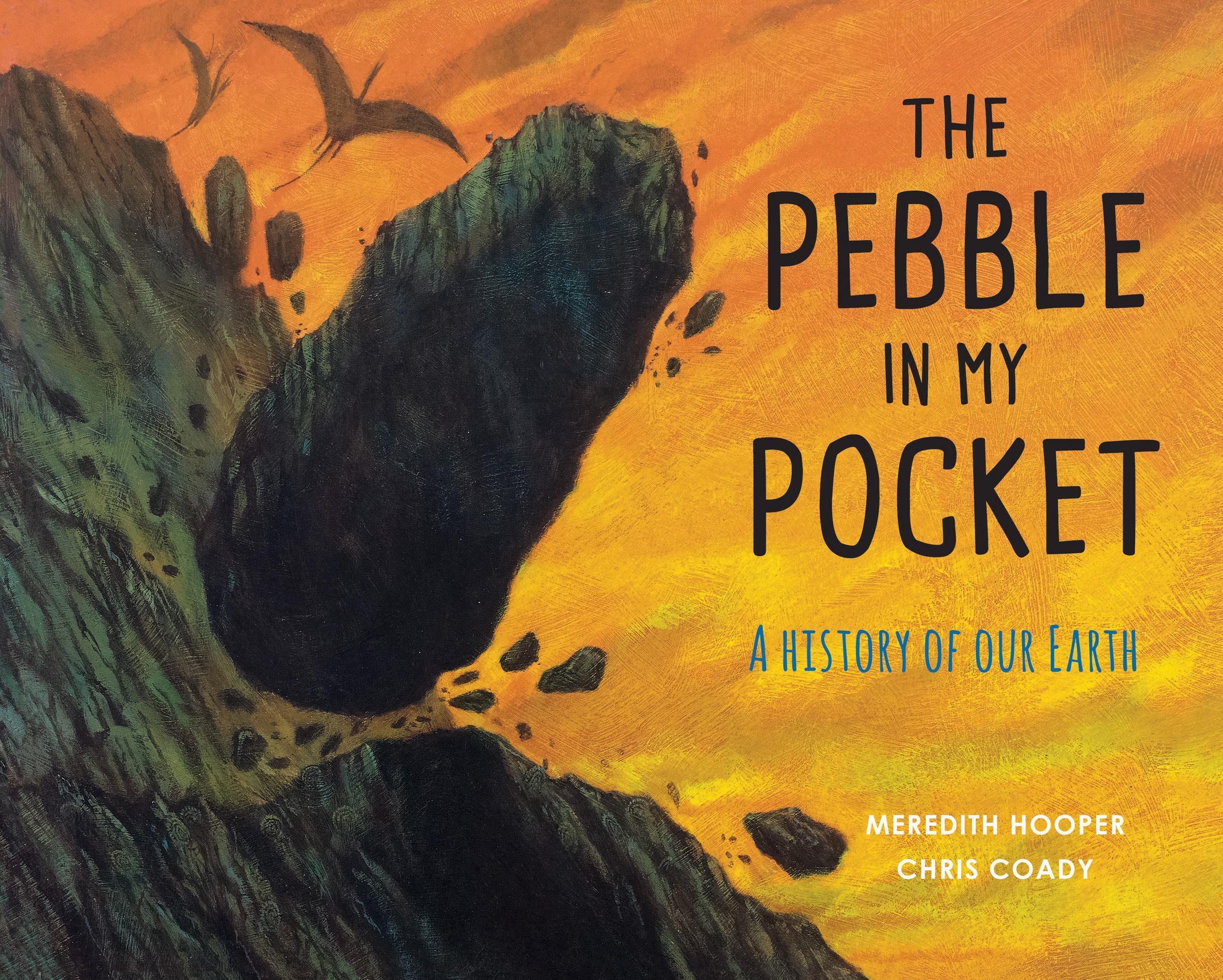 Vorderes Coverbild The Pebble in My Pocket