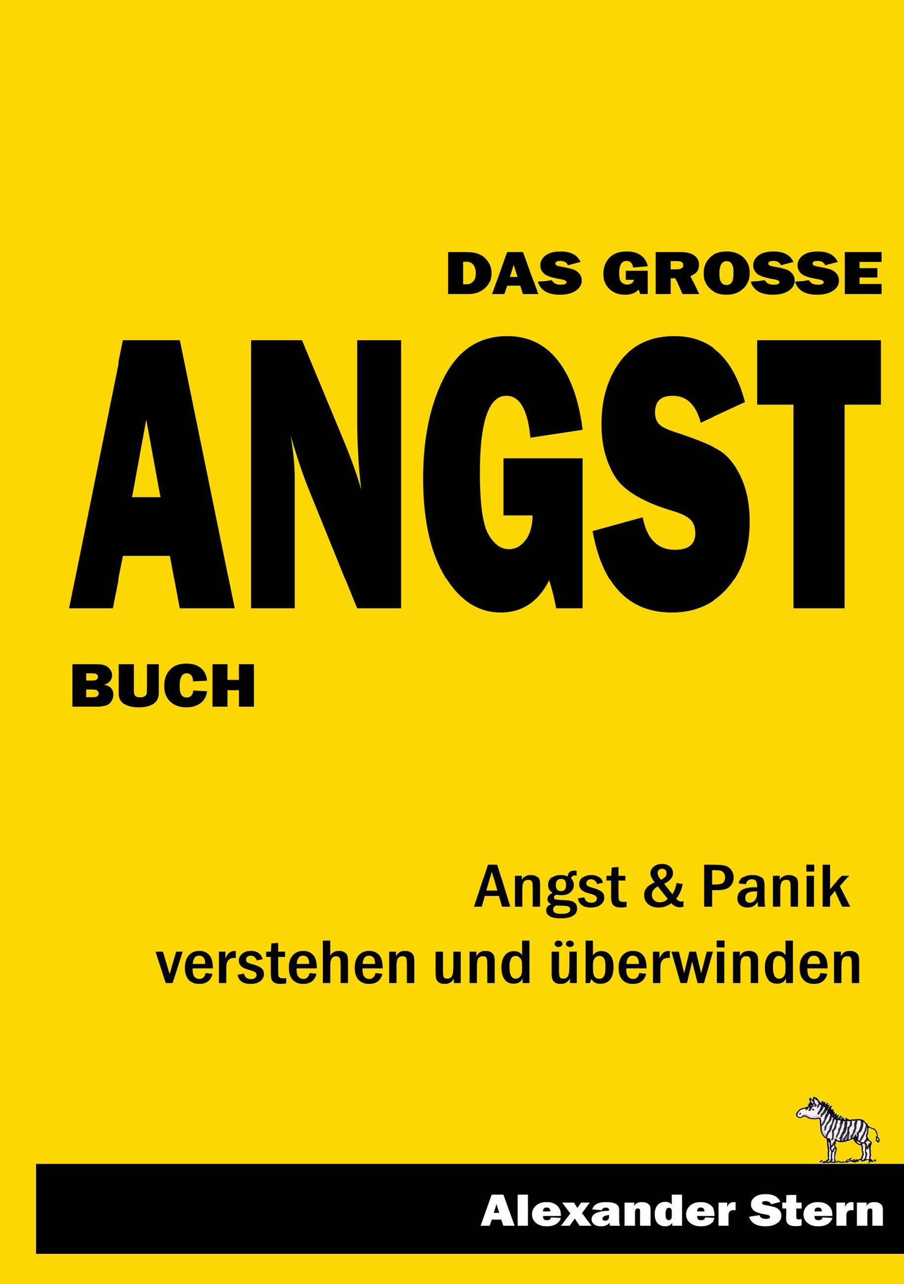 Vorderes Coverbild Das große Angstbuch
