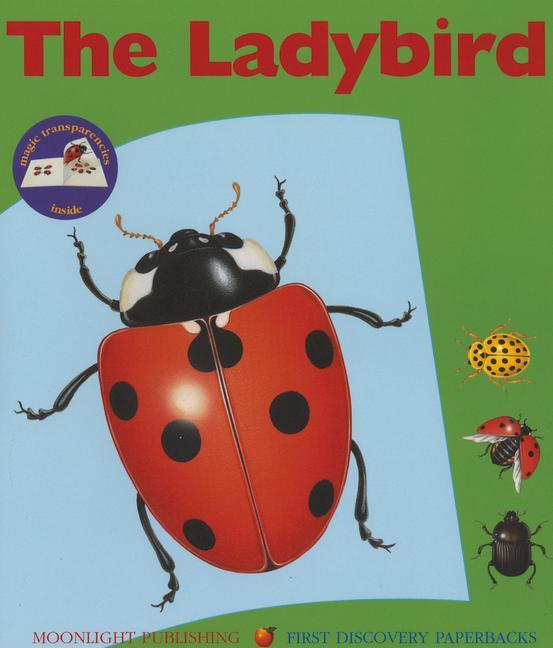 Vorderes Coverbild The Ladybird