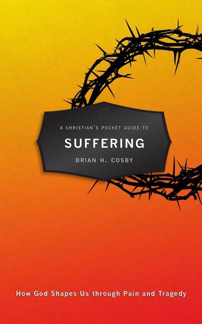 Vorderes Coverbild A Christian's Pocket Guide to Suffering
