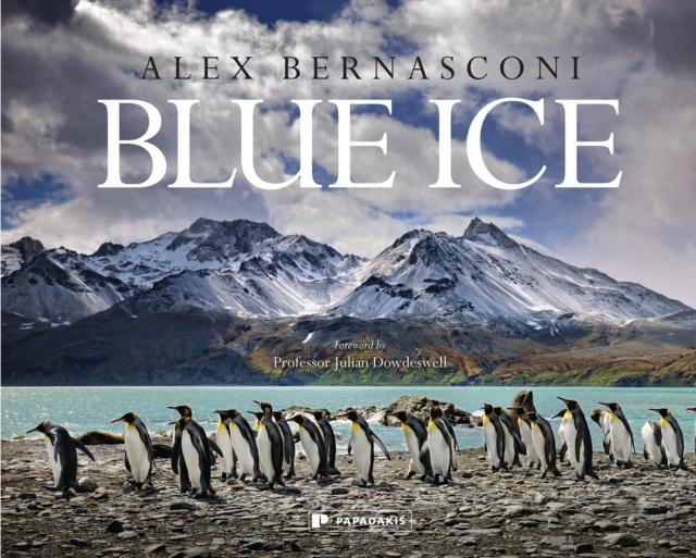 Vorderes Coverbild Blue Ice