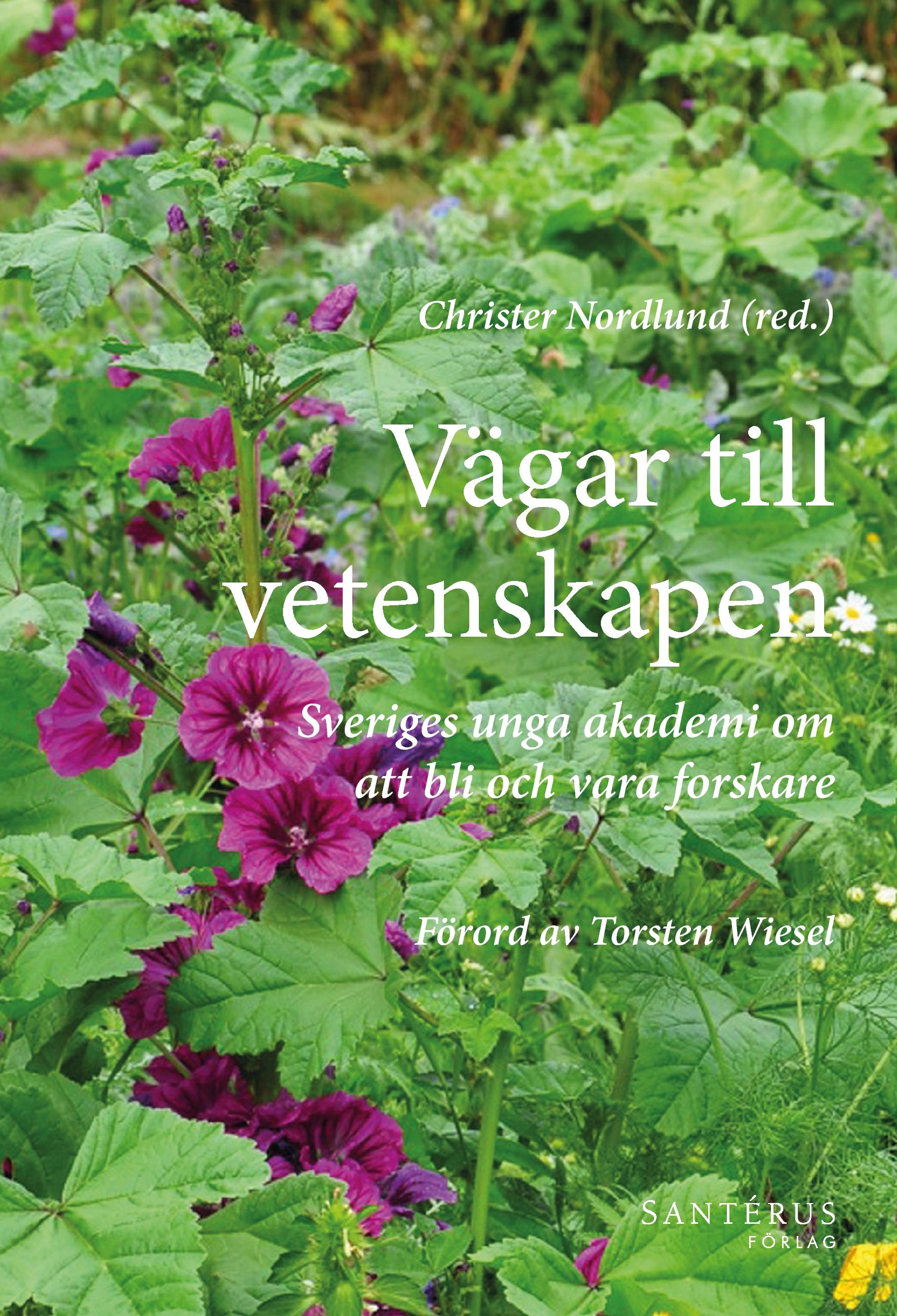 Vorderes Coverbild Christian Mission in Eschatological Perspective - Lesslie Newbigin's Contribution