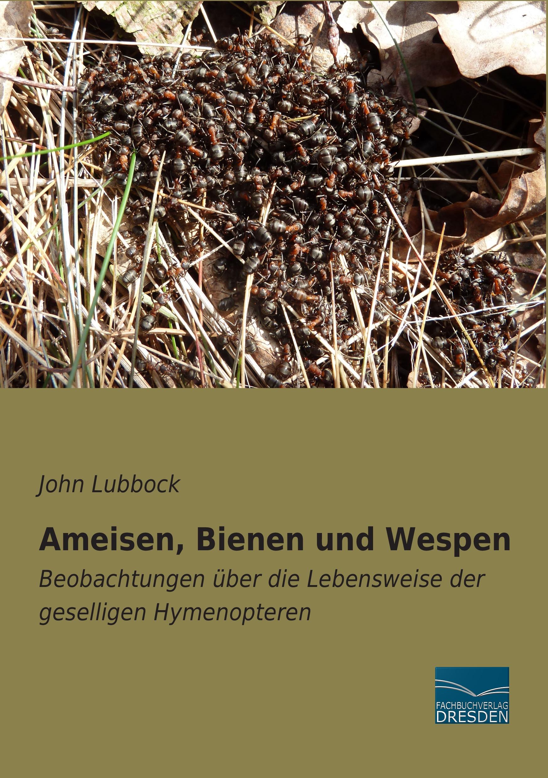 Vorderes Coverbild Ameisen, Bienen und Wespen