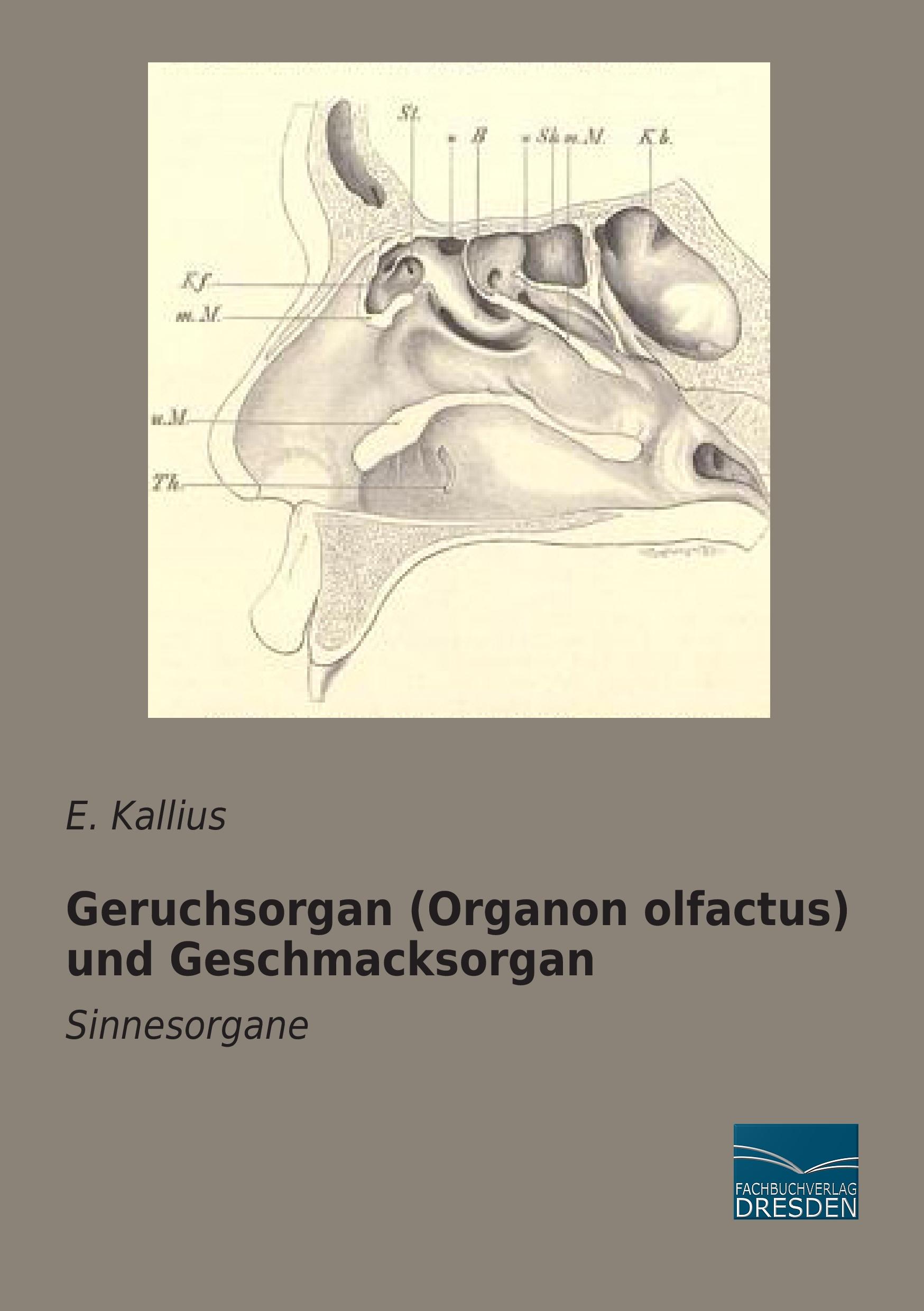 Vorderes Coverbild Geruchsorgan (Organon olfactus) und Geschmacksorgan