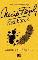 Vorderes Coverbild Gaibi Kurcalayan Cilingir Necip Fazil Kisakürek