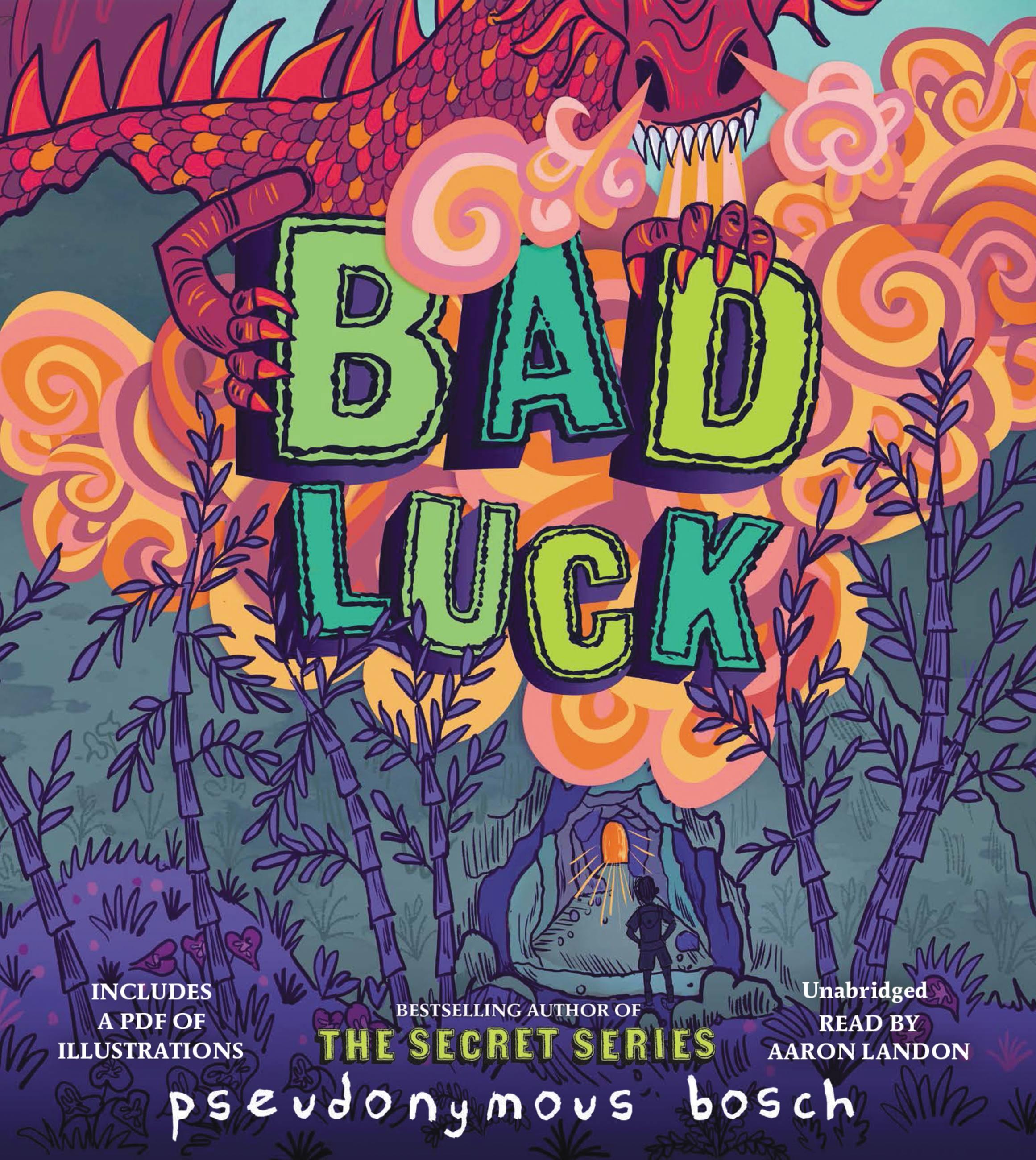 Vorderes Coverbild Bad Luck