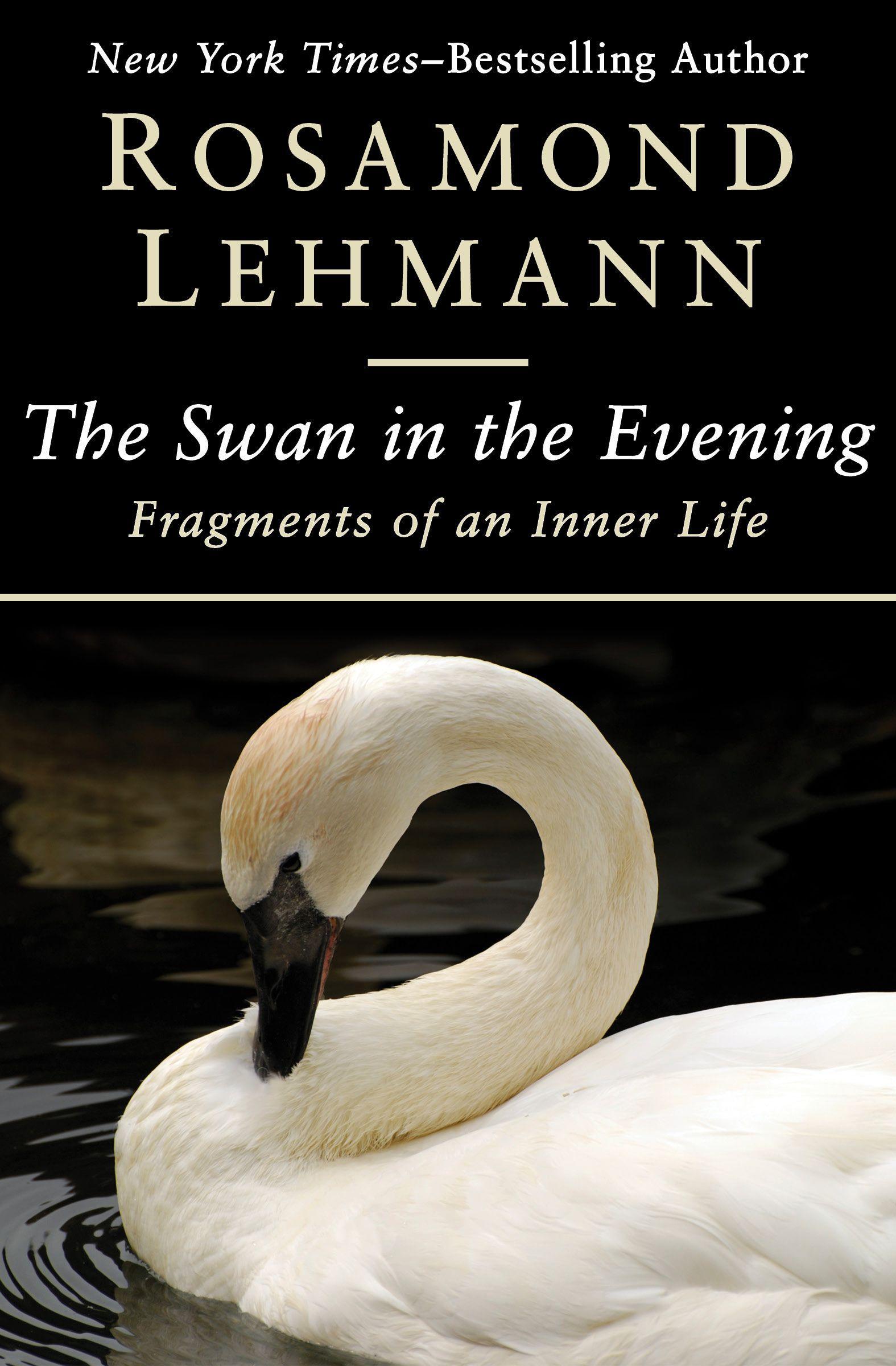Vorderes Coverbild The Swan in the Evening