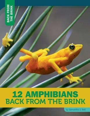 Vorderes Coverbild 12 Amphibians Back from the Brink