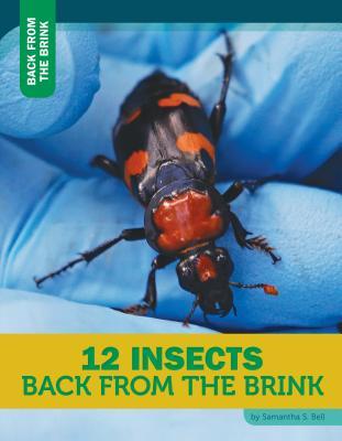 Vorderes Coverbild 12 Insects Back from the Brink