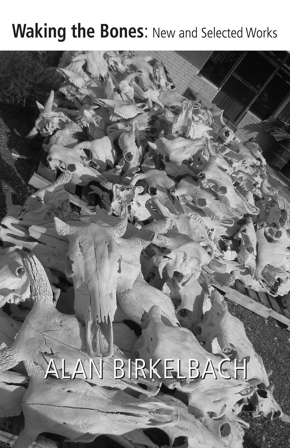 Vorderes Coverbild Waking the Bones