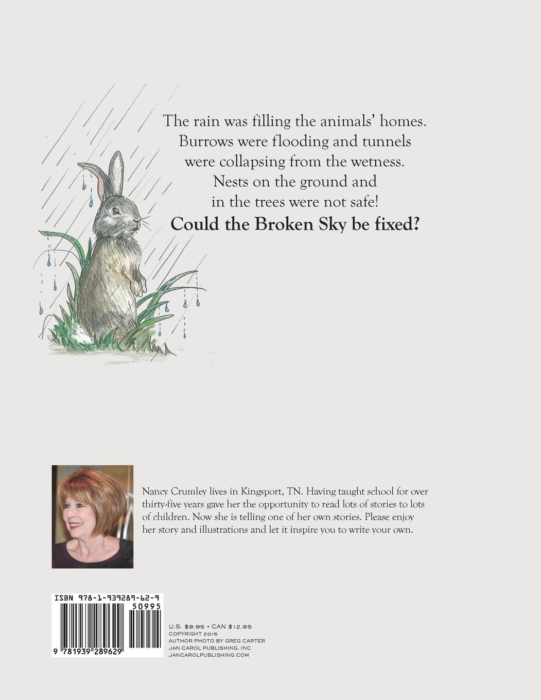 Rückseitencover Broken Sky