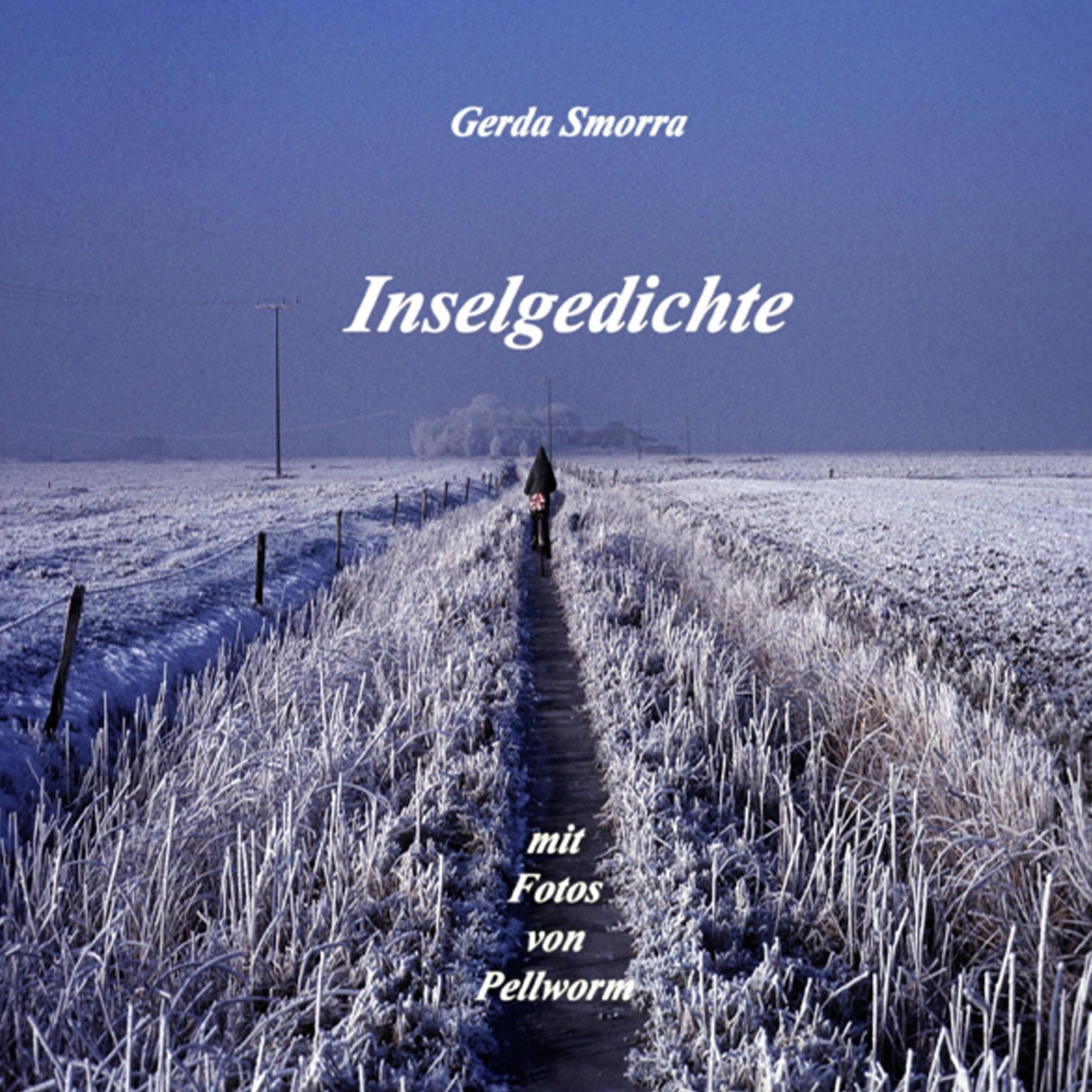 Vorderes Coverbild Inselgedichte