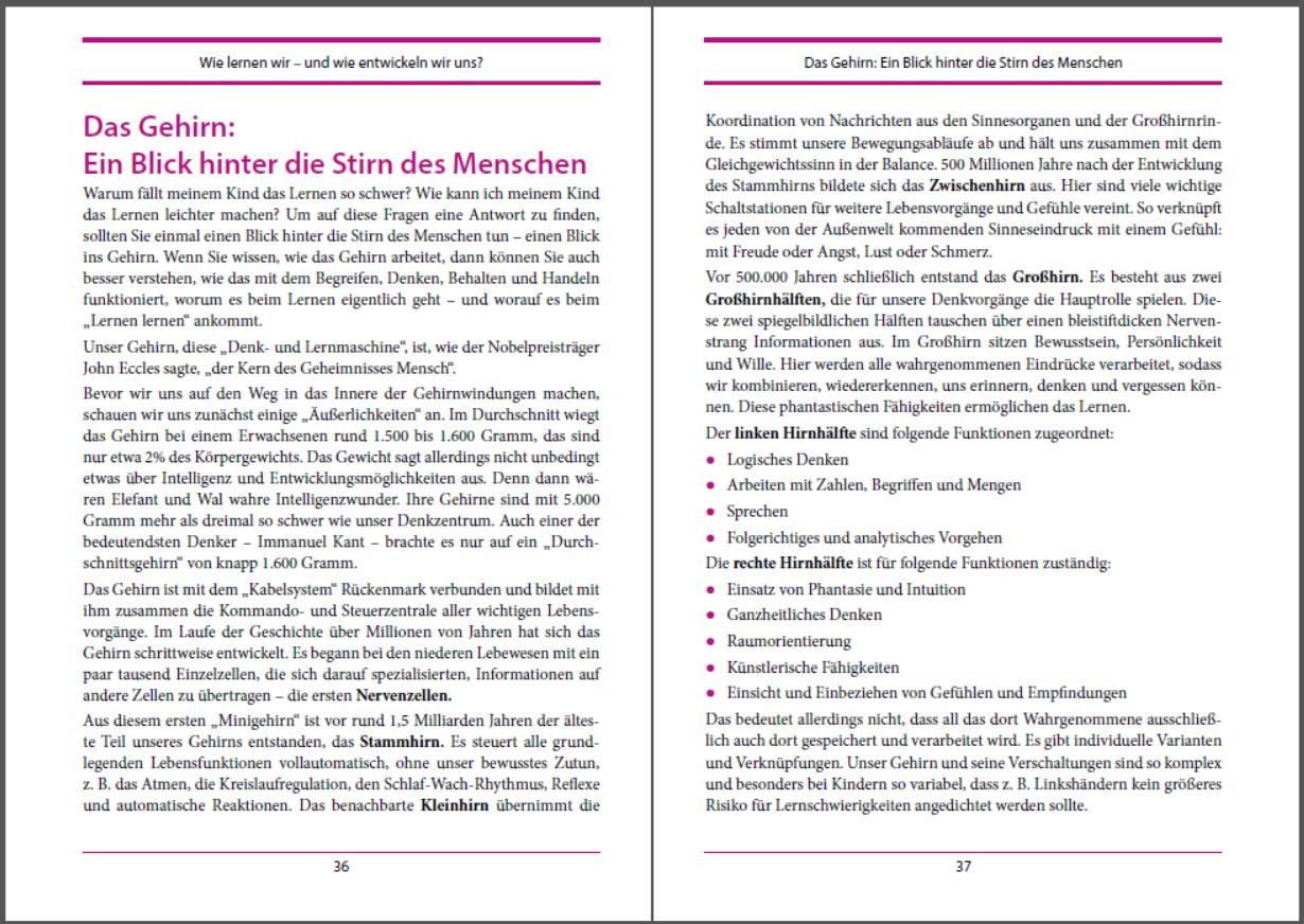 Beispielinhalt (Bild) Auch das Lernen kann man lernen