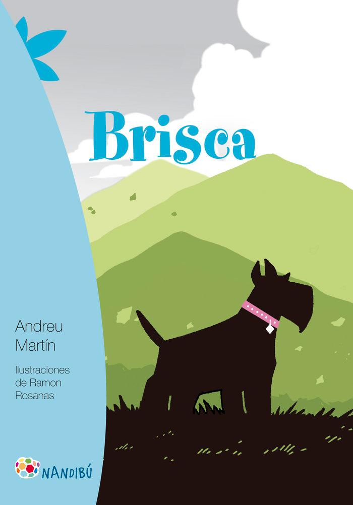 Vorderes Coverbild Brisca