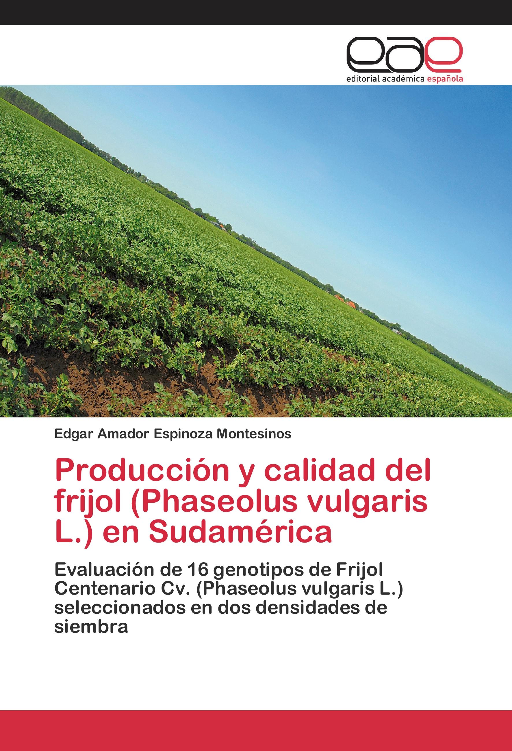 Vorderes Coverbild Producción y calidad del frijol (Phaseolus vulgaris L.) en Sudamérica
