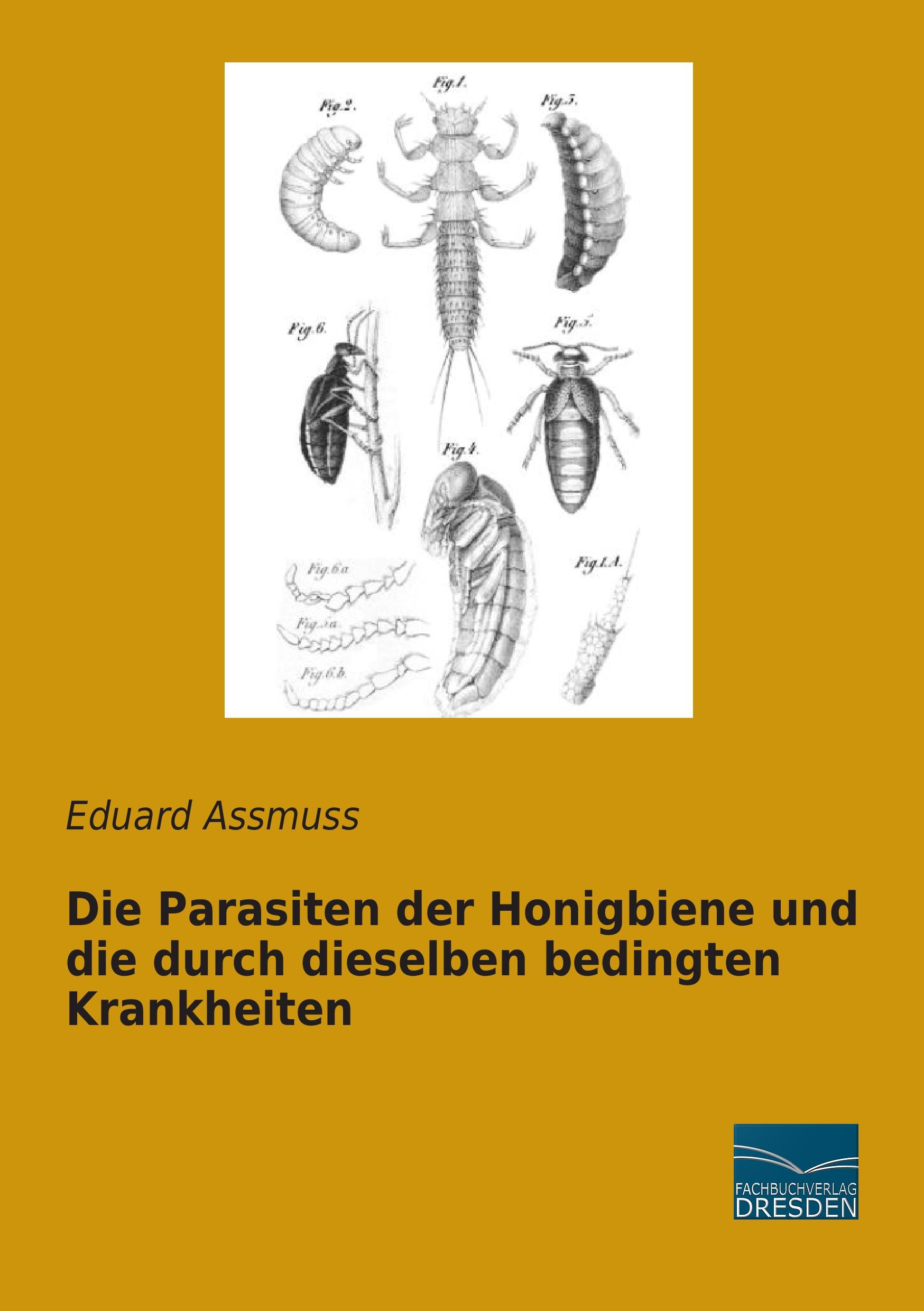 Vorderes Coverbild Die Parasiten der Honigbiene und die durch dieselben bedingten Krankheiten