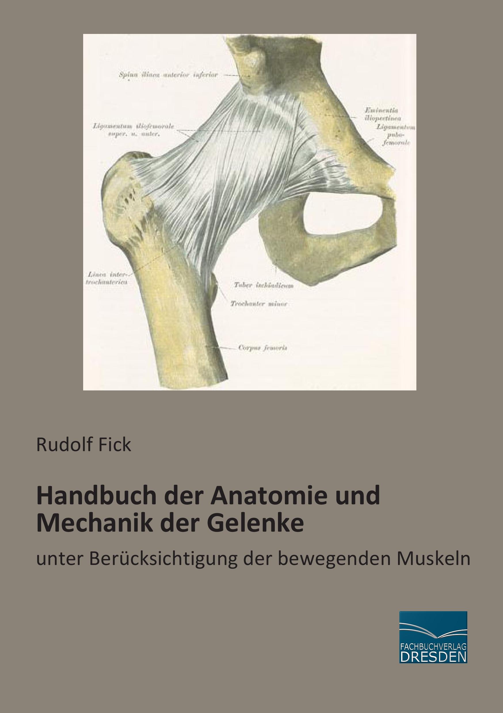 Vorderes Coverbild Handbuch der Anatomie und Mechanik der Gelenke