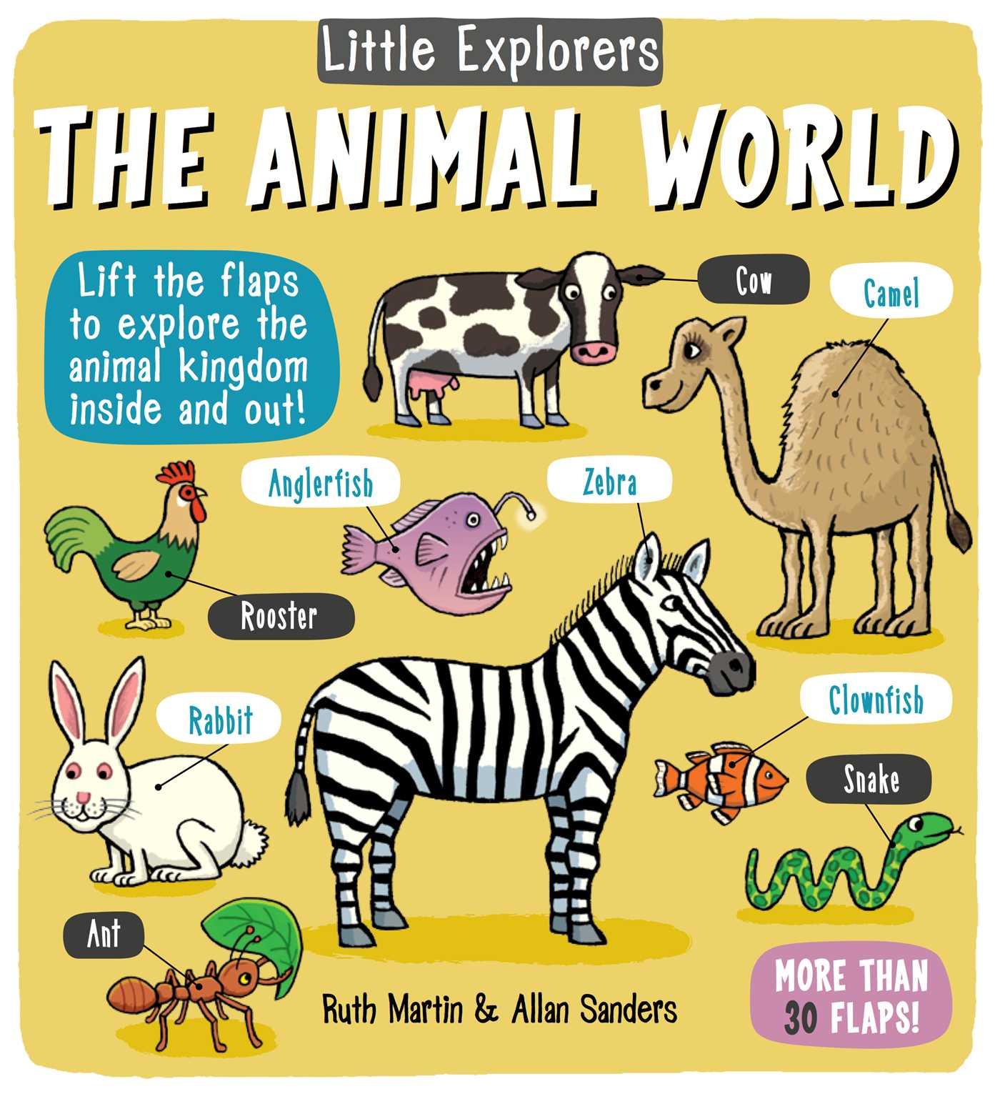 Vorderes Coverbild Little Explorers: The Animal World