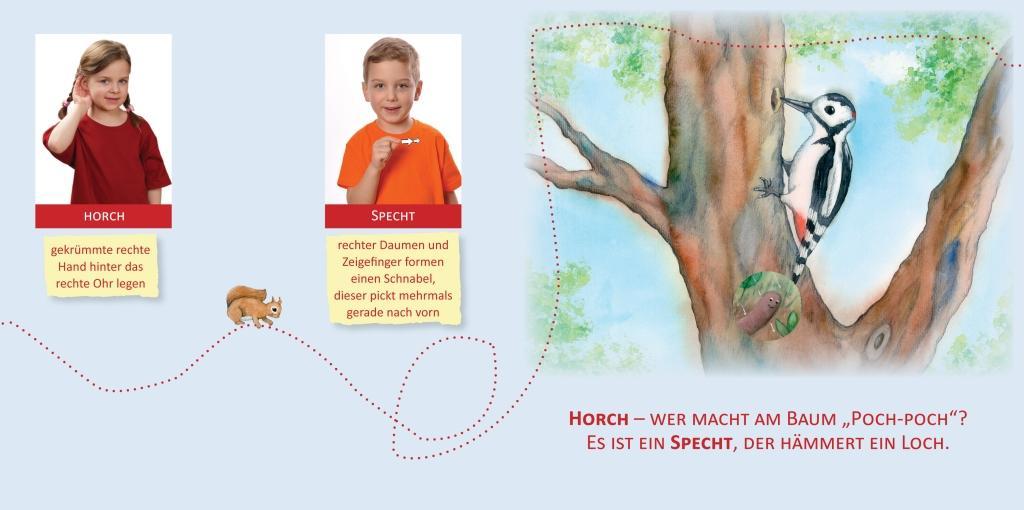 Beispielinhalt (Bild) Mit Babyzeichen die Welt entdecken: Tiere im Wald