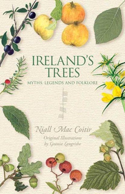 Vorderes Coverbild Ireland's Trees