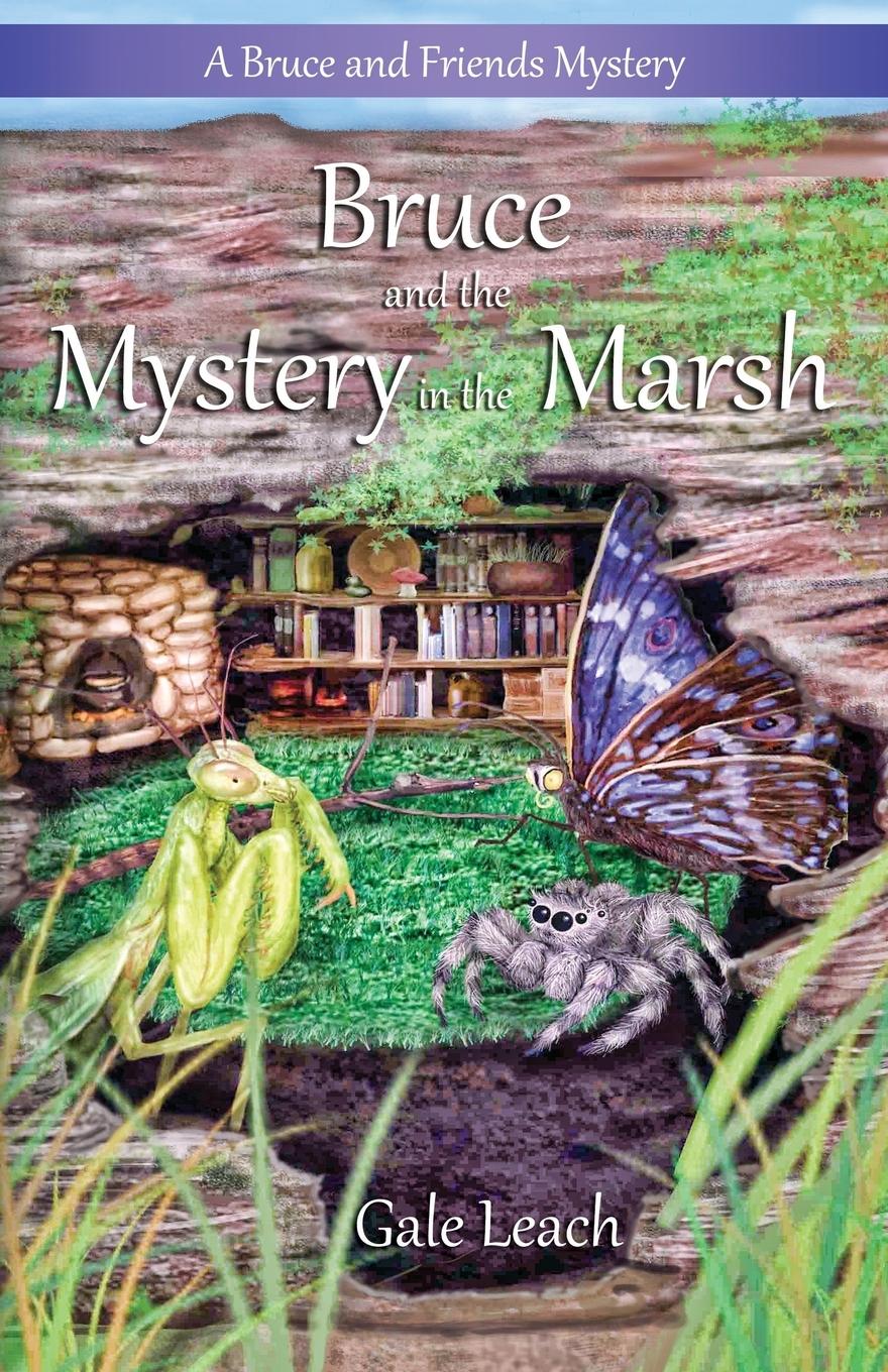 Vorderes Coverbild Bruce and the Mystery in the Marsh