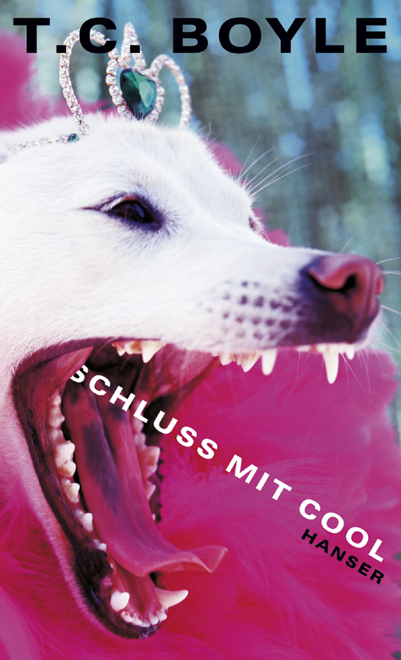 Vorderes Coverbild Schluß mit cool