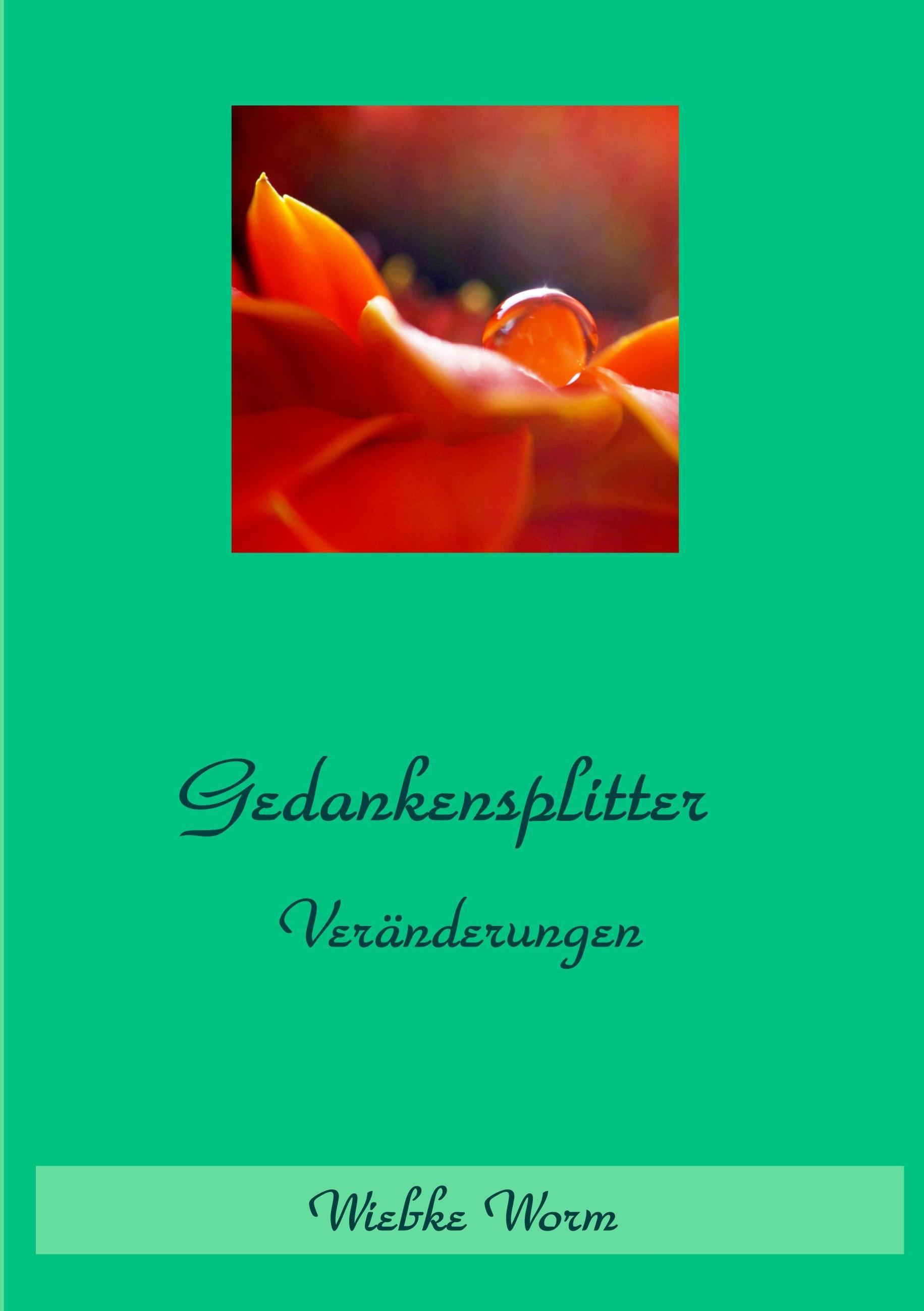 Vorderes Coverbild Gedankensplitter