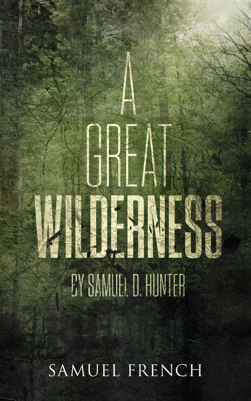 Vorderes Coverbild A Great Wilderness