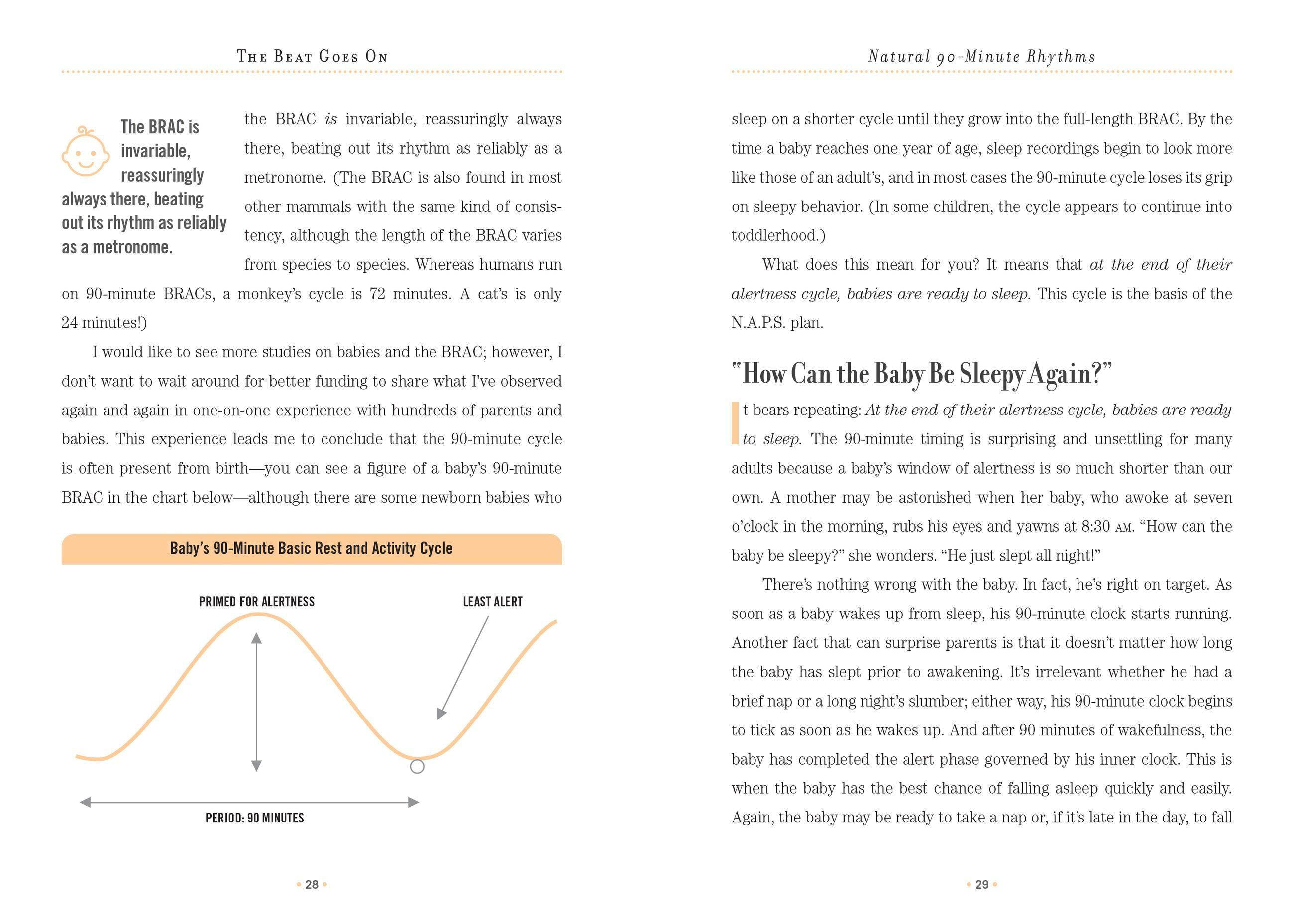 Beispielinhalt (Bild) The Natural Baby Sleep Solution