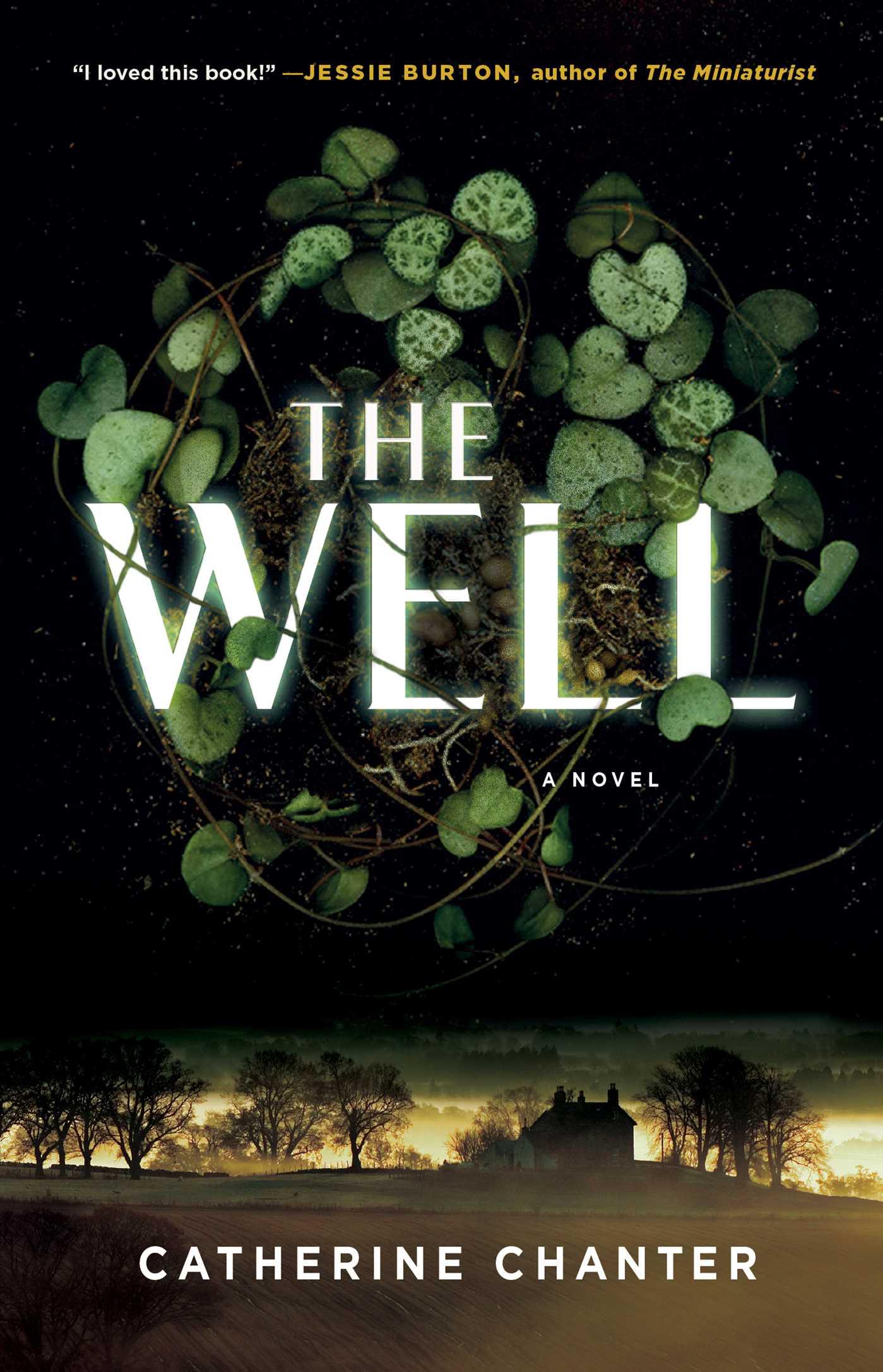 Vorderes Coverbild The Well
