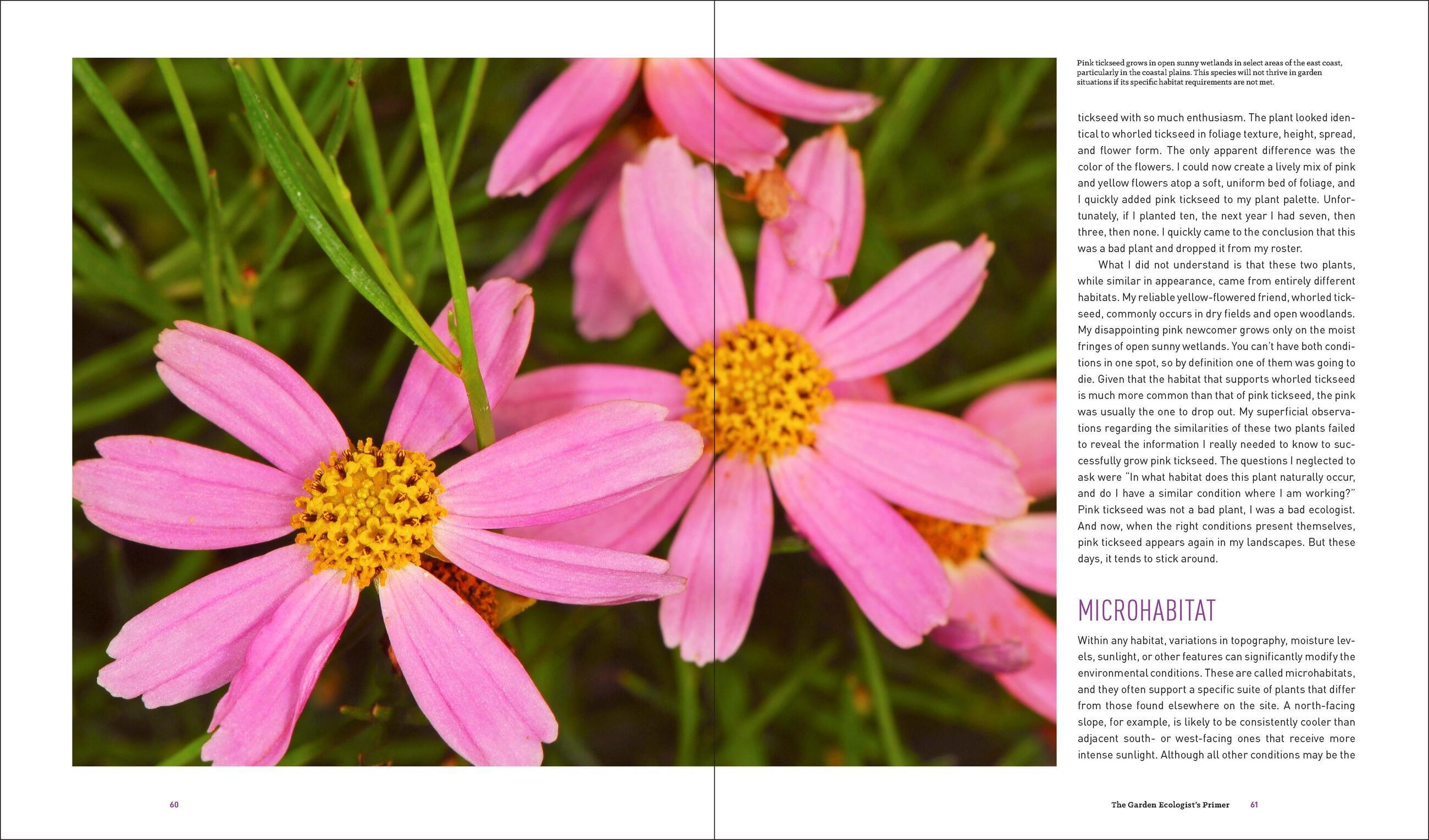 Beispielinhalt (Bild) Garden Revolution