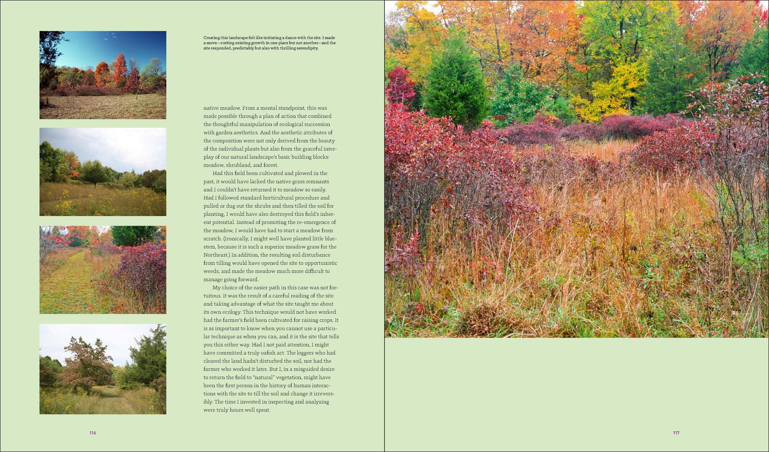 Beispielinhalt (Bild) Garden Revolution