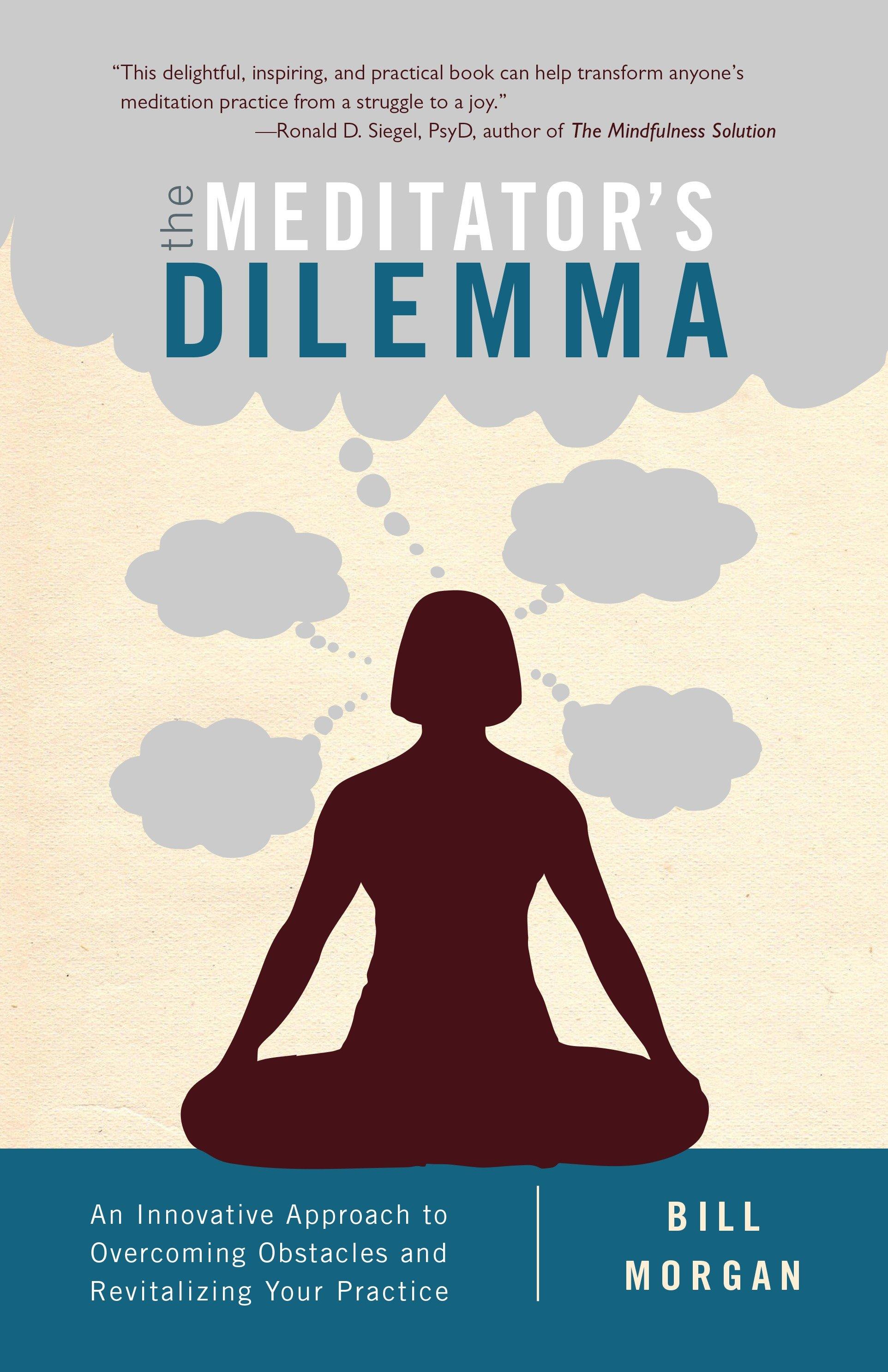 Vorderes Coverbild The Meditator's Dilemma
