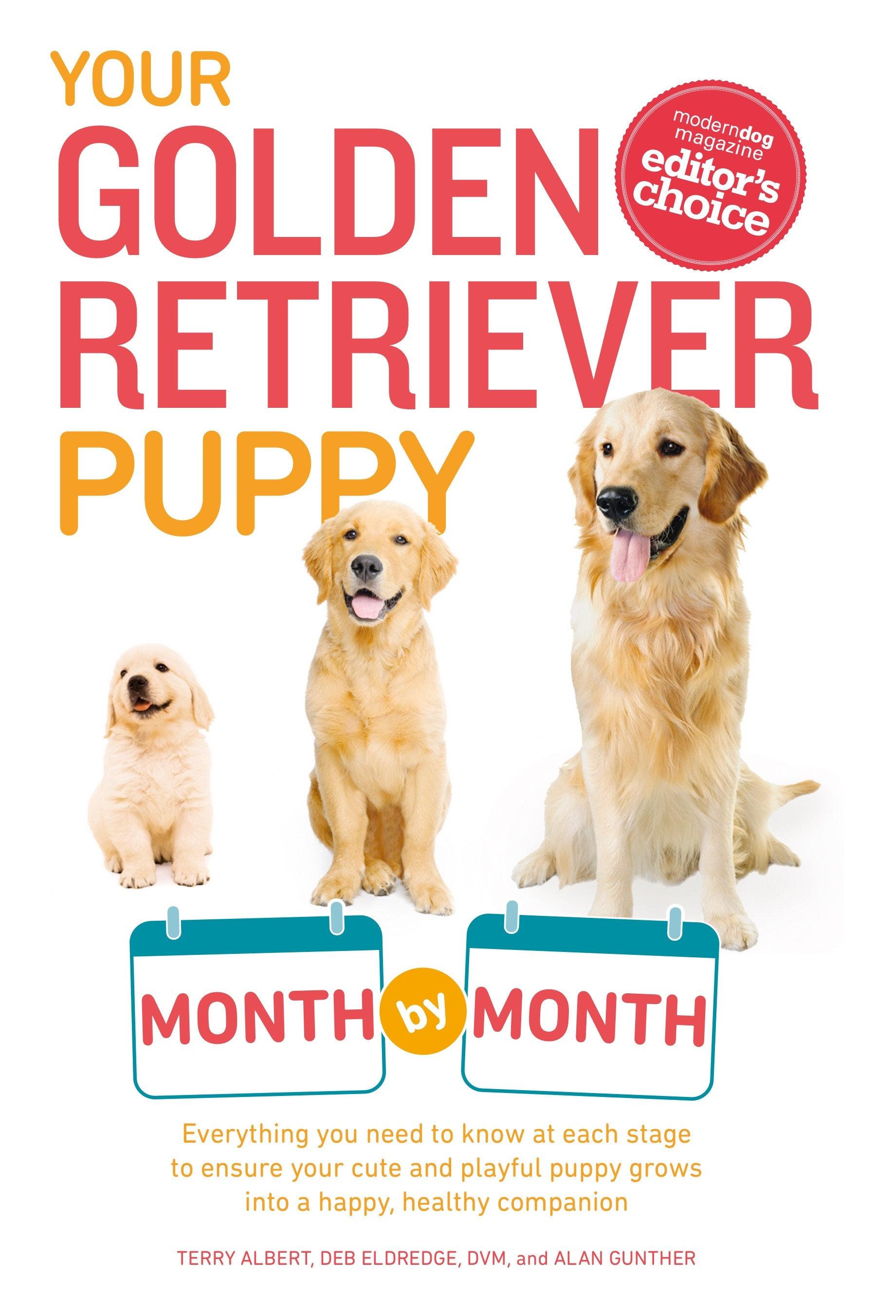Vorderes Coverbild Your Golden Retriever Puppy Month by Month