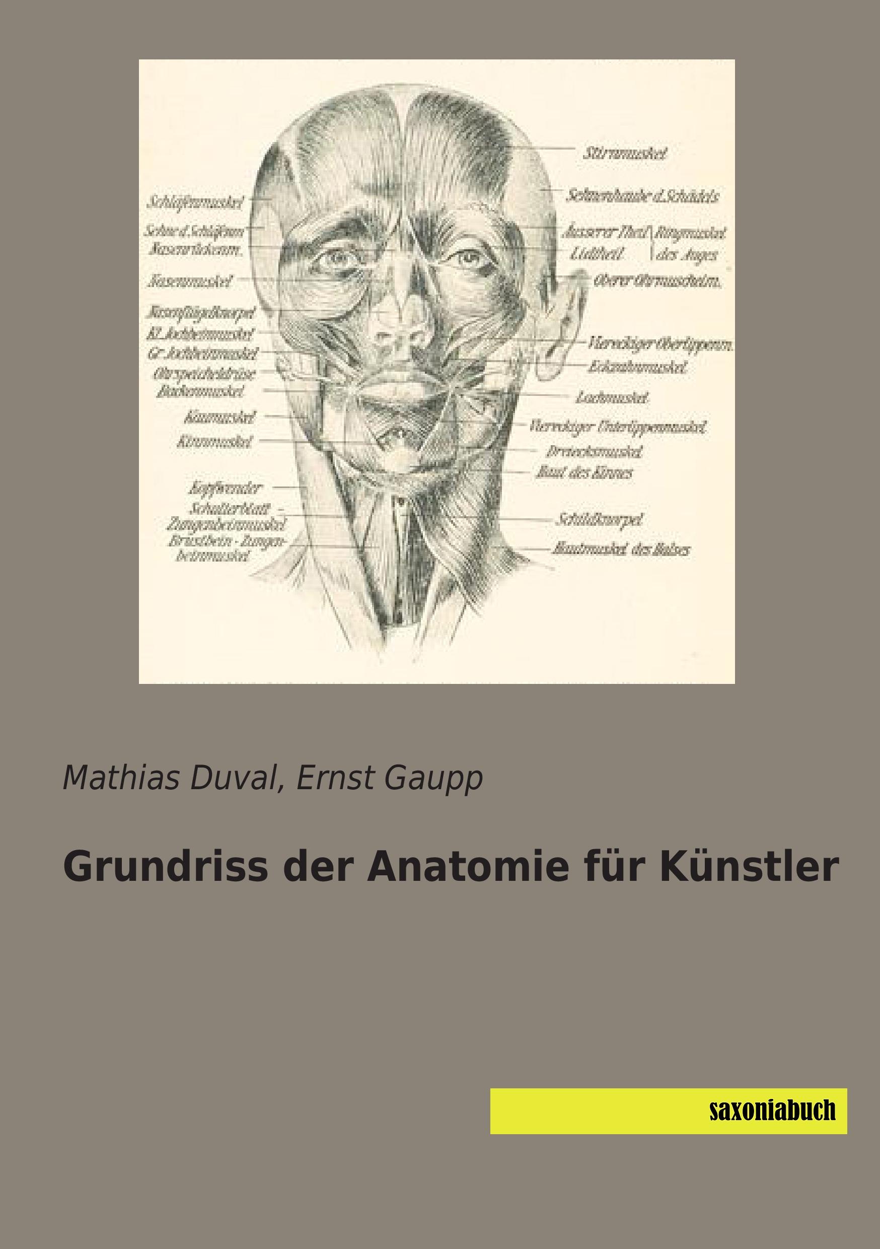 Vorderes Coverbild Grundriss der Anatomie für Künstler