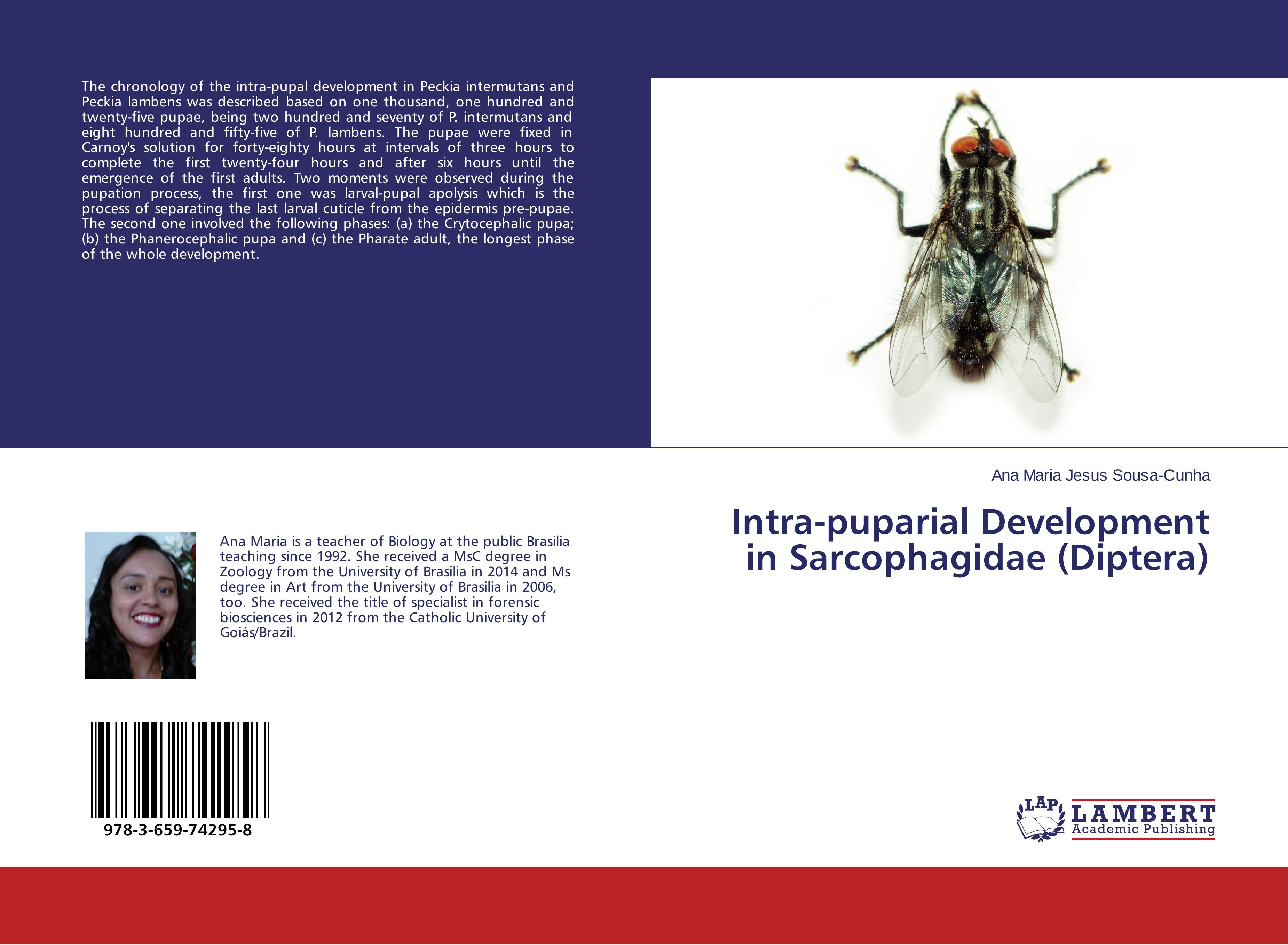Vorderes Coverbild Intra-puparial Development in Sarcophagidae (Diptera)