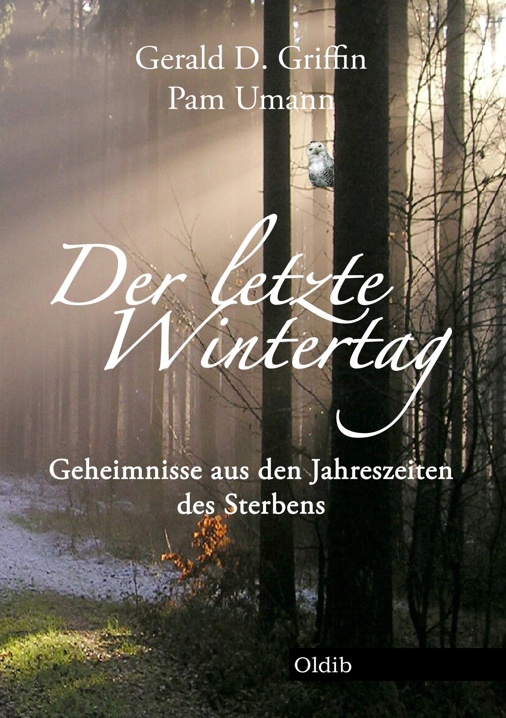 Vorderes Coverbild Der letzte Wintertag