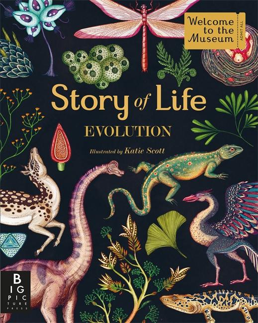 Vorderes Coverbild Story of Life: Evolution