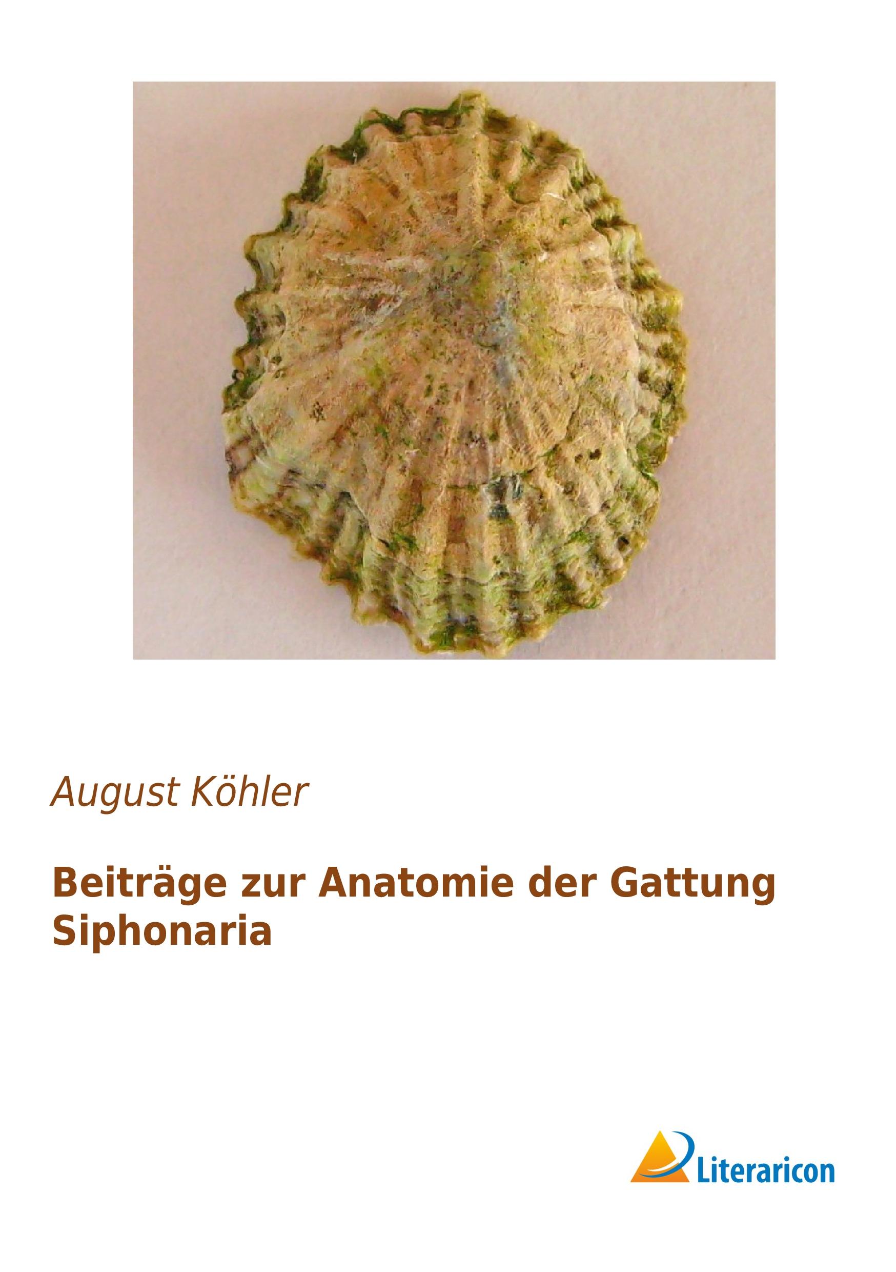Vorderes Coverbild Beiträge zur Anatomie der Gattung Siphonaria