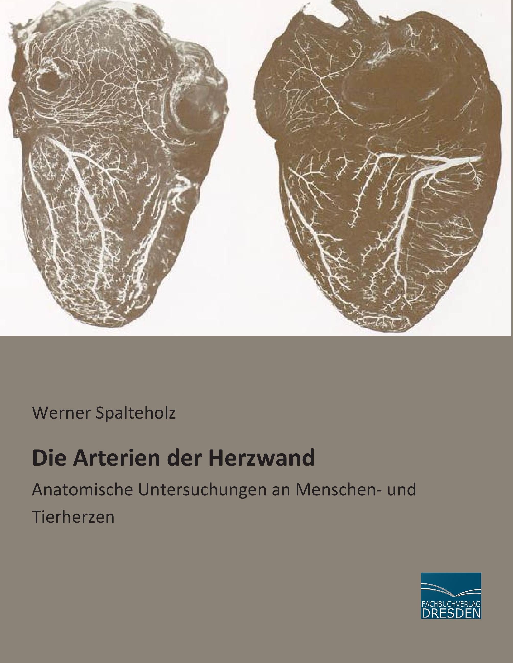 Vorderes Coverbild Die Arterien der Herzwand
