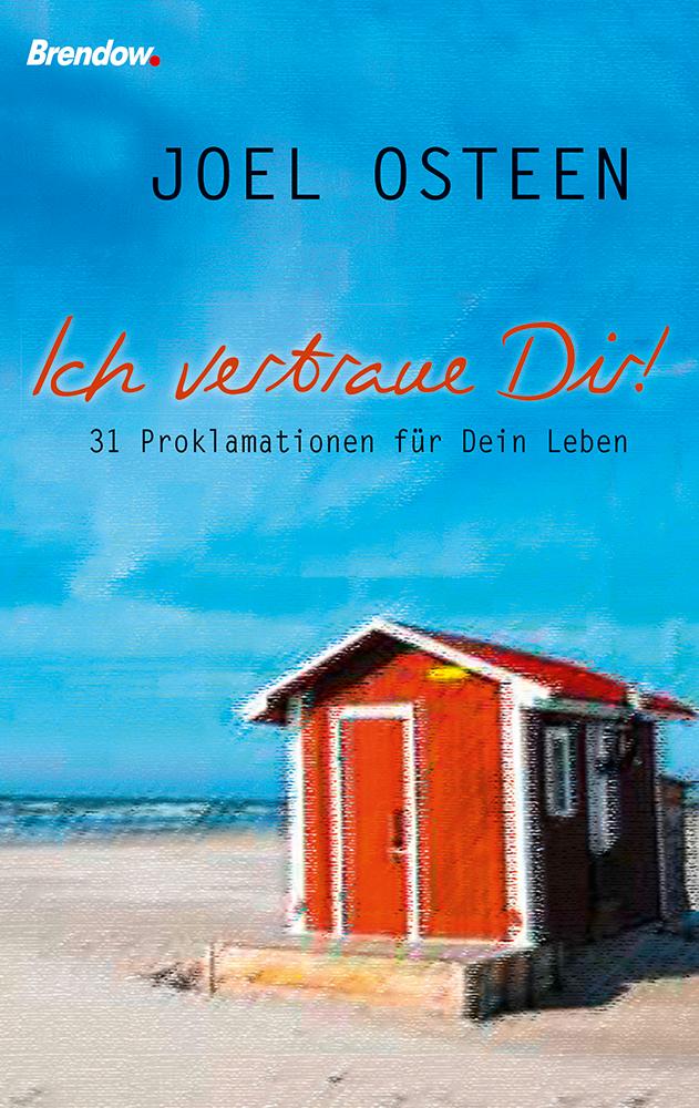 Vorderes Coverbild Ich vertraue Dir!