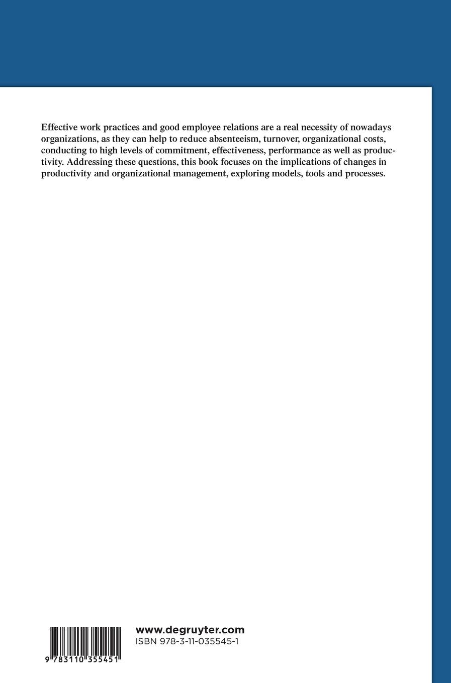 Rückseitencover Productivity and Organizational Management