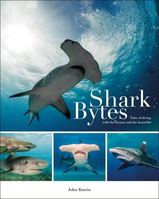 Vorderes Coverbild Shark Bytes