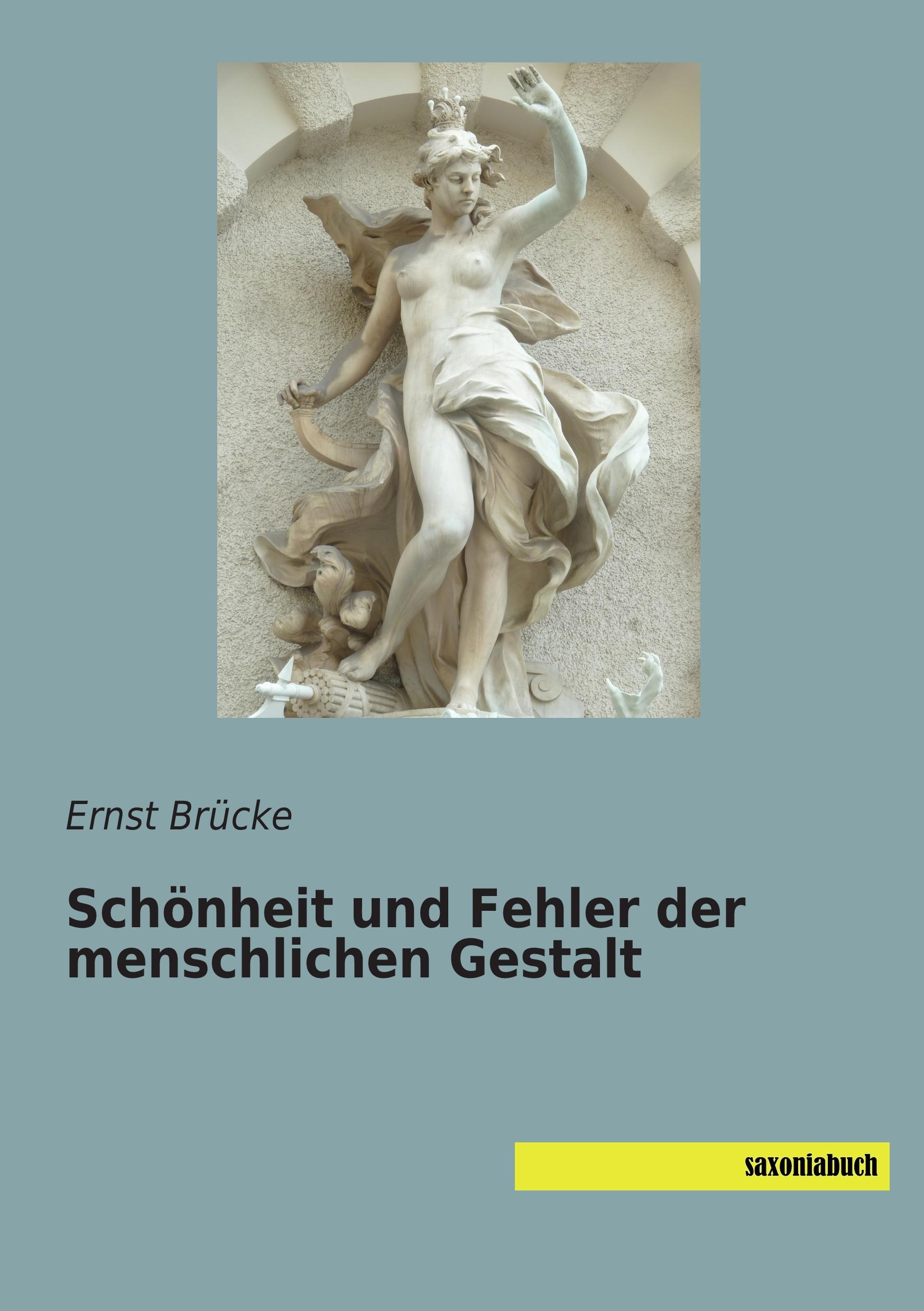 Vorderes Coverbild Schönheit und Fehler der menschlichen Gestalt