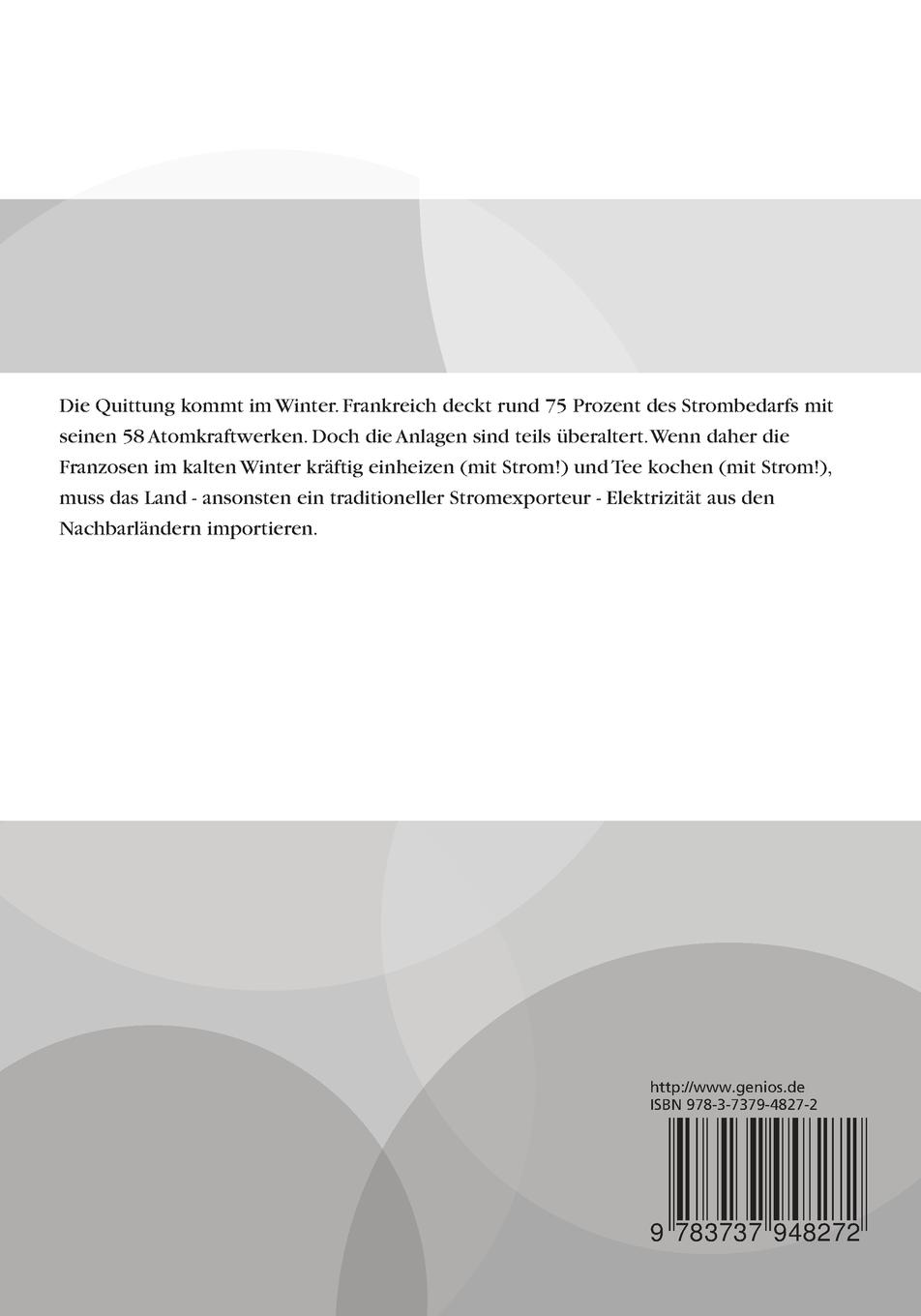 Rückseitencover Frankreichs Energiemarkt