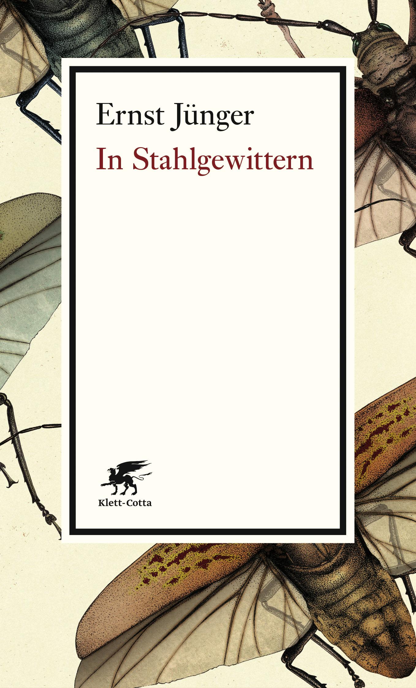 Vorderes Coverbild In Stahlgewittern