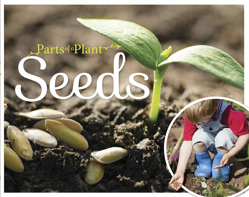 Vorderes Coverbild Seeds