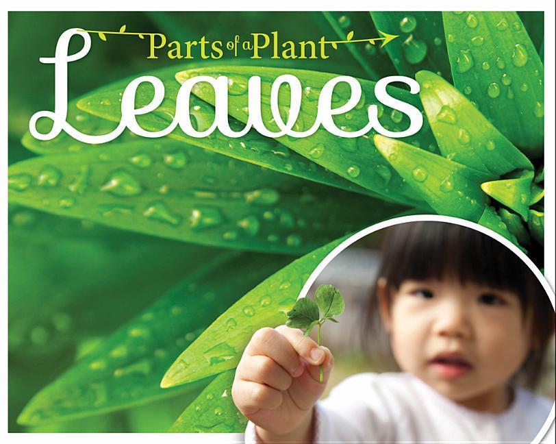 Vorderes Coverbild Leaves