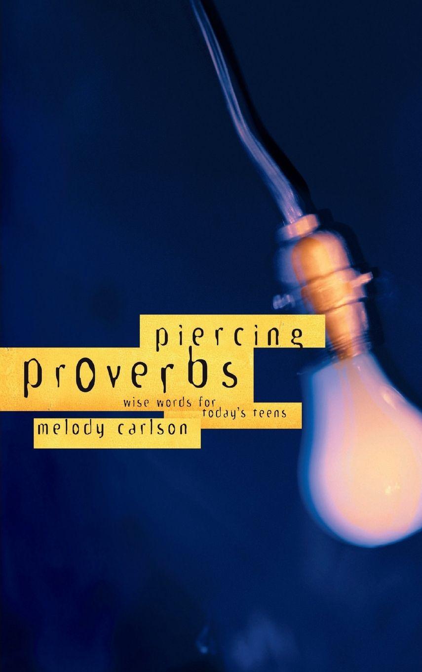 Vorderes Coverbild Piercing Proverbs